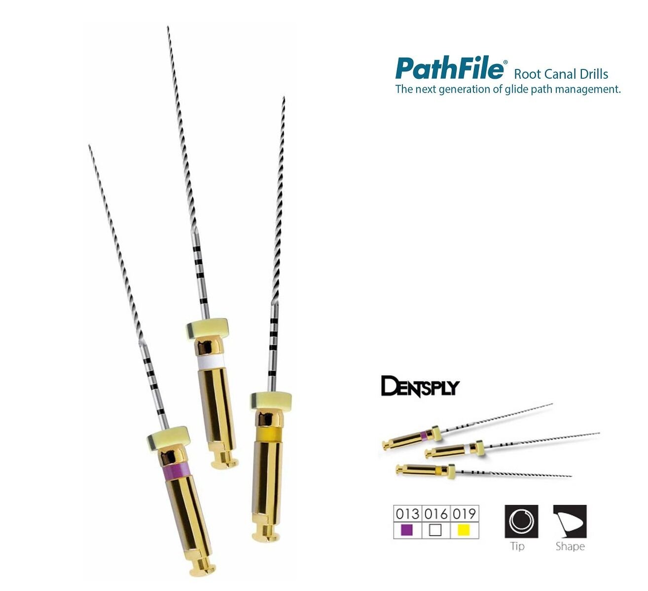 Pathfile Rotary Eğe 25 mm 6 lı